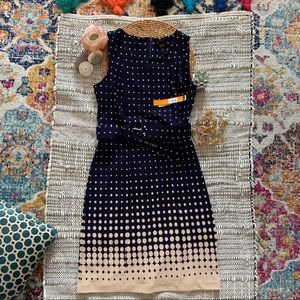 ILE New York Polka Dot Dress Navy and Taupe S-8
